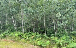 E Wilderness Court, Barnes, WI 54873