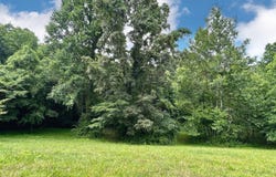 700 Beechwood Drive lot: 24B, Nancy, KY 42544
