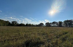 N Highway, Mountain Grove, MO 65711