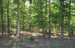 0 Amethyst Lane, Amherst, VA 24521