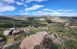 1390 Walking Wind Dr, Bellvue, CO 80512