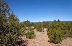 1 Camino Del Sol Road, Bernal, NM 87569