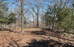 Skylight Mountain, Canehill, AR 72717