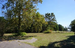 cr4301 Plainview Road, Naples, TX 75571