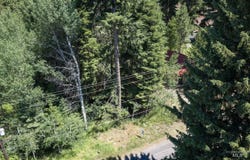 813 Reedy Ln, McCall, ID 83638