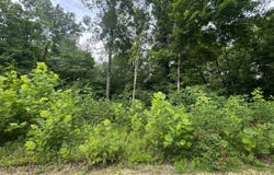 Ted Logsdon Rd, Clarkson, KY 42726
