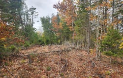 Blackberry Lane lot: B, Buckfield, ME 04220