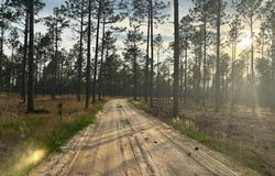 1613 Derby Rd, Jackson Springs, NC 27281
