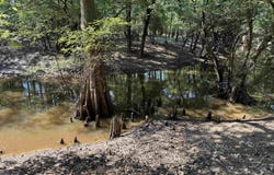 Calvary Circle, Lonoke, AR 72086