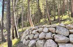 ARAPAHOE Rd, WallowaLake, OR 97846