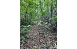 Lockhart Drive, Landrum, SC 29356