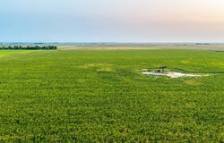 E 1860 Rd, Davidson, OK 73530