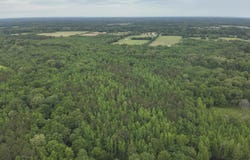 Dampeer Road, Canton, MS 39046