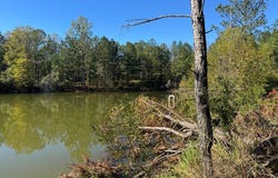 2014 Sanders Lane, Utica, MS 39175