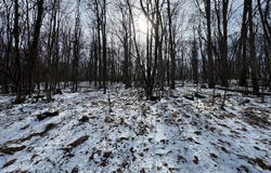 Overlook Drive, Franklin, PA 16323