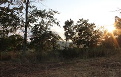 1667 Madison 6345, Wesley, AR 72773