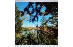 Lead Mine Road, Lubec, ME 04652