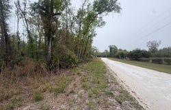 NE 355th Ave lot: 12, Old Town, FL 32680