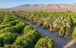 80th Avenue, Thermal, CA 92274
