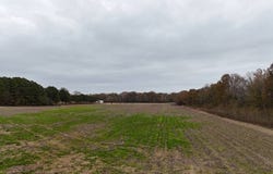 11555 Hwy 51 N, Grenada, MS 38901