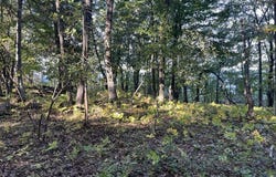 W Whitefish Bay Rd, Sturgeon Bay, WI 54235