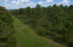 County Road 33, Ashford, AL 36312
