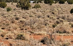 2622 Parker Drive, Williams, AZ 86046