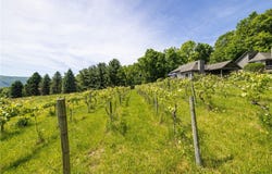 Naples, NY 14512