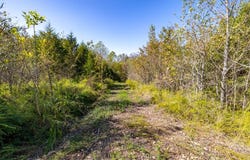 State Route 723, Salem, KY 42078