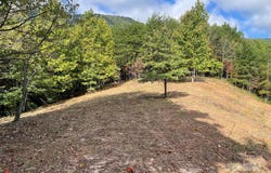 Birkdale Drive, Mill Spring, NC 28756