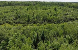 State Highway 13, Prentice, WI 54556