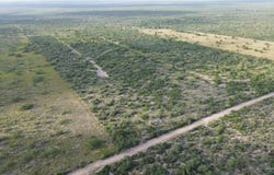 Alejandrenas Road, Zapata, TX 78076