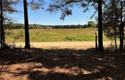 75 County Road 2115, Bagwell, TX 75412