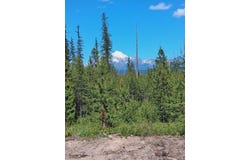 11532 North Fork Road, Polebridge, MT 59928