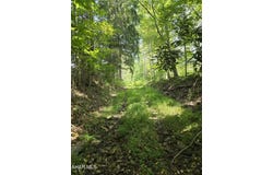 Strawberry Road, Lilly, PA 15938
