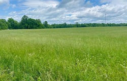 Old Martha Washington Road, Clarkrange, TN 38553