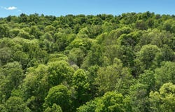 8261 Glendale Rd, Cairo, WV 26337