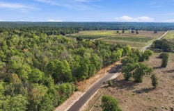 Cr. 3920, Hawkins, TX 75765