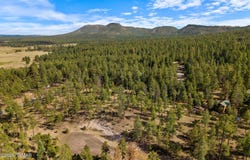 CR 2193, Alpine, AZ 85920