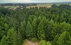 2035 Morehead Road, Crescent City, CA 95531-2317