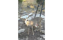 Park Rd, Lampasas, TX 76550