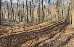 Copperhead Cove lot: 4, Sylva, NC 28779