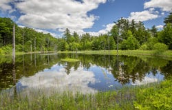 40 Patrick Mountain Lane, Washington, ME 04574