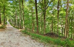 W McCarthy Knob Road, Lanesville, IN 47136