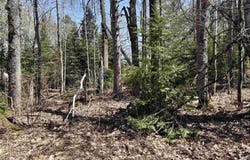 County Road 581, Ishpeming, MI 49849