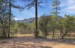 4023 N PINE Road, Pine, AZ 85544