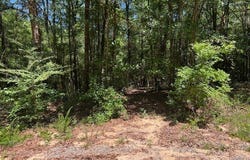 Jo-Beth St., WAYNESBORO, MS 39367