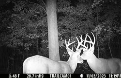 FS 1548, Pettigrew, AR 72752