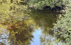 W14905 PARRISH RD, Gleason, WI 54435