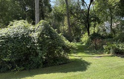 3491 Eastern Avenue NE, Grand Rapids, MI 49525